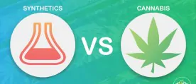 Differenza Cannabis Sintetica e Naturale