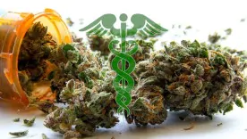 La Rivoluzione della Cannabis Terapeutica