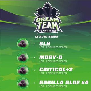 BSF - Dream Team Femminized MIX