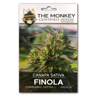 Finola Selezionata Certificata ENSE - 200 semi