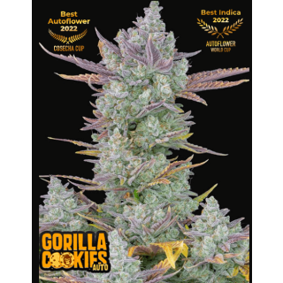 Fast Buds - Gorilla Cookies Auto
