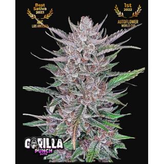 Fast Buds - Gorilla Punch Auto