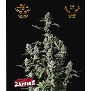 Fast Buds - Gorilla Zkittlez Auto