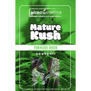 Microgenetica - Mature Kush