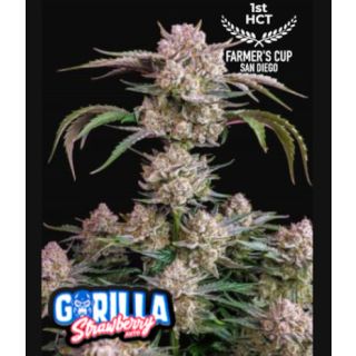 Fast Buds - Strawberry Gorilla Auto