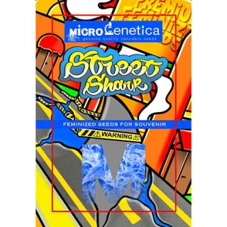 Microgenetica - Street Shark