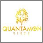 Quantamon Seeds