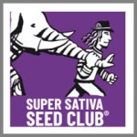 Super Sativa Seed Club