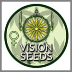 Vision Seeds