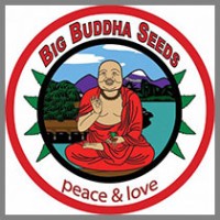 Big Buddha