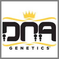 DNA Genetics